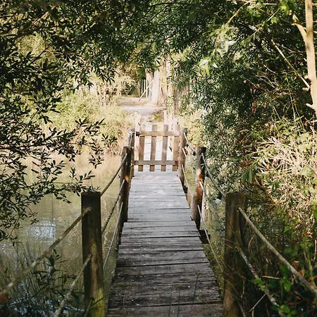 Parque Dos Monges Роскошный шатер