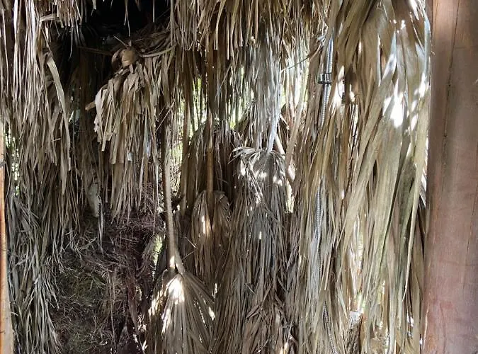 Luxury tent Parque Dos Monges Alcobaca