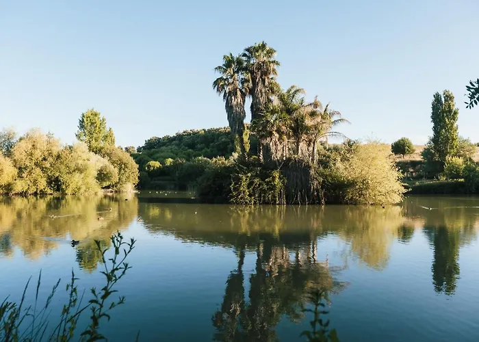 Parque Dos Monges Luxury tent *